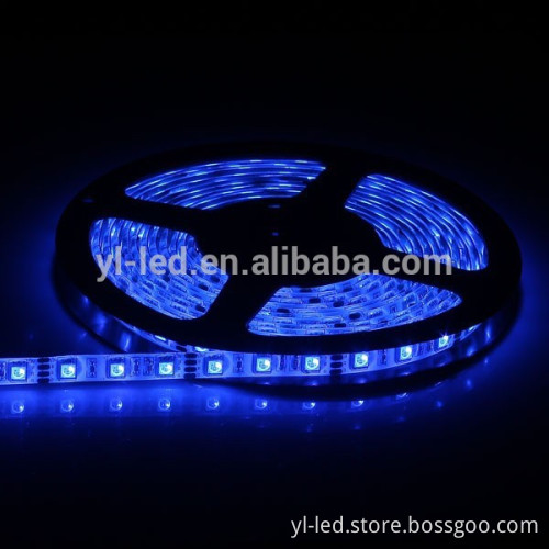 SMD5050 led rope light DC12V, waterproof led rope light 60 leds per meter